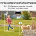 Reolink Argus Series B740X Dual-Objektiv WLAN Überwachungskamera mit 4K-Farbsicht bei Tag und Nacht, 180° ultraweites Sichtfeld