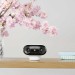 Reolink Argus Series B740X Dual-Objektiv WLAN Überwachungskamera mit 4K-Farbsicht bei Tag und Nacht, 180° ultraweites Sichtfeld