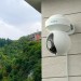 Reolink E Series E540 5 MP WLAN PTZ Überwachungskamera mit Personen- und Fahrzeugerkennung, integriertem Scheinwerfer und Sirene