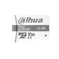 Dahua DHI-TF-P100/256GB 256 GB microSD-Speicherkarte